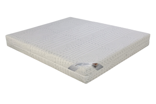 Ljubljana - Der Schutzengel im Schlaf