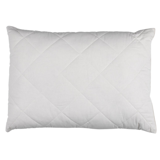 Clean Fresh Budget Kissen