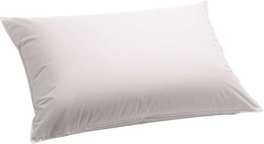 Hirse - Daunen Kissen