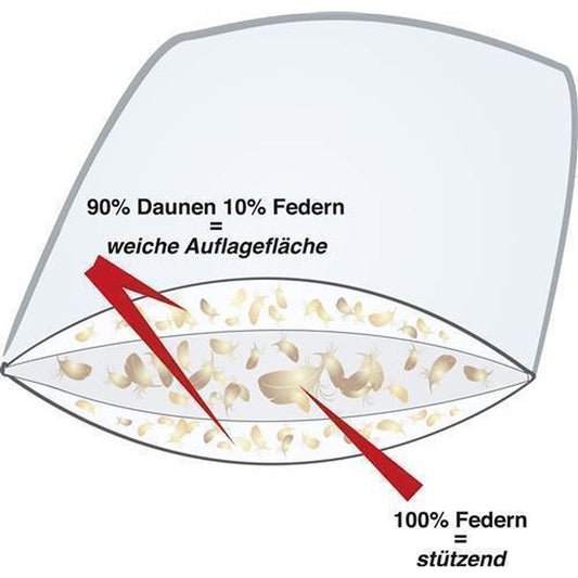 Daunen Kissen Trio Kern Luxus