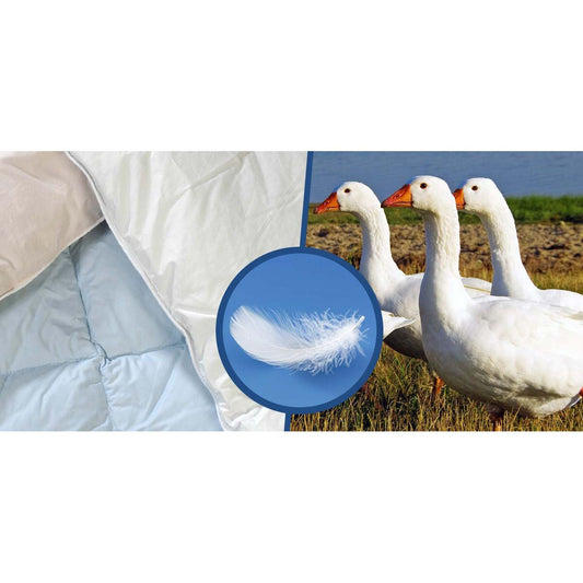 Swiss Exquisite Sommer Light Duvet